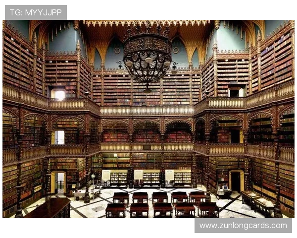 揭秘d88尊龙官方网站的安全防护机制，确保玩家信息安全