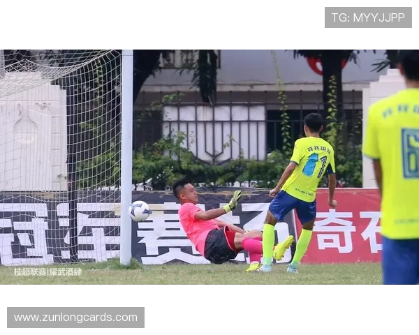 尊龙时凯人生官网电脑版常见问题解决方案与用户支持指南